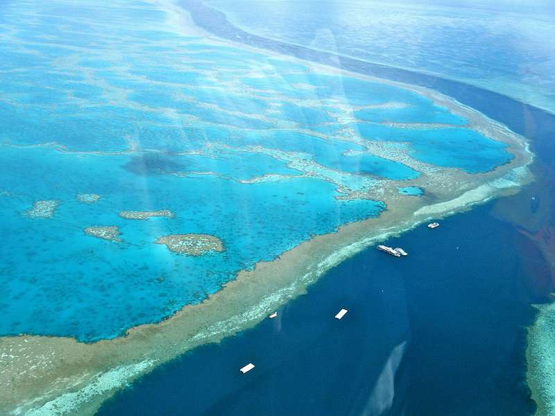 Great_Barrier_Reef_wikipedia_Sarah_Ackerman_compressed