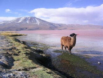 Číňané i Rosatom chtějí těžit lithium v Bolívii